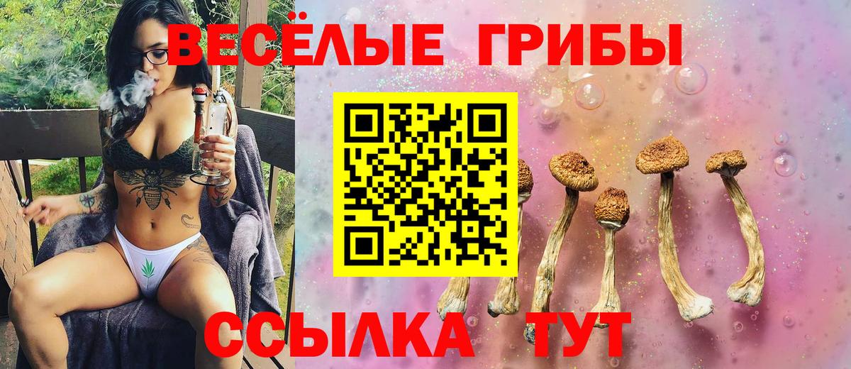 Псилоцибиновые грибы MAGIC MUSHROOMS Артёмовский